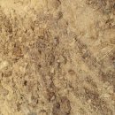 노래하는 하모니카 이미지