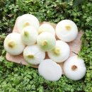 팔도농장 이미지