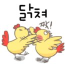 네일,세미