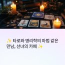 명리학과 타로의 만남 네이버블로그