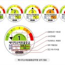 풀잎의집