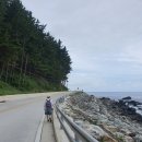 자연애 선펜션 | 뚜벅이 땅콩 부부의 울릉도 5박6일 트래킹(여행 4일차,7월13일) - 울릉천국, 태하 모노레일, 태하등대와...