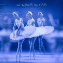 스완발레학원 - 천안시 서북구 불당25로 142 | 스완발레학원