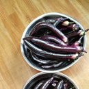 학림농장 이미지