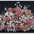 큐피트커플 이미지