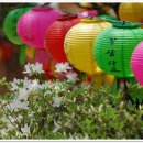 향기고운 이미지