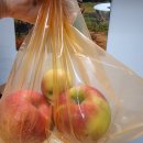 (주)엘엔티테크 | 이온프레쉬 밀폐용기 미슐랭 보관용기세트 후기에요