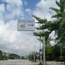 초지운동장사거리(단원구청방향) 이미지