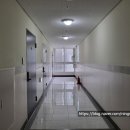 국세청앞BRT 이미지