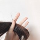 썸띵스페셜 이미지