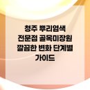 청주 뿌리염색 전문점 골목미장원 깔끔한 변화 단계별 가이드