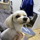 (주)홍대오마카세 이미지