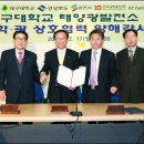 성산 태양광발전소 이미지