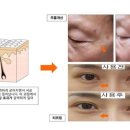온누리화장품