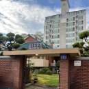 엘리 | 마산 데이트하기 좋은 블루리본 레스토랑 엘리 내돈내산 후기