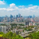 강남행정사사무소 이미지