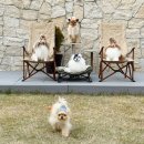 라라 펜션 | 양평애견독채펜션 스테이라라온 A동 후기