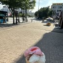 수누리 이미지