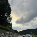 알프스 휴양림 | 충북 알프스 자연휴양림 :: 시나래1동 가족여행 후기