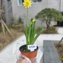 생명나무유치원 | 숲유치원 2년 보낸 후기. 숲유치원의 사계절, 장단점.