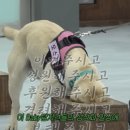 보릿고개 네이버블로그
