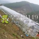 장암로 이미지