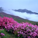 주산지경로당 이미지