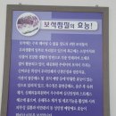 경주시종합자원화단지웰빙센타찜질방 | 경주시 종합자원화단지 웰빙센타
