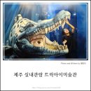 트릭아이미술관 주식회사 | [제주트릭아이뮤지엄후기] 비오는날 제주 실내관광지, 트릭아트 사진맛집 착시미술관