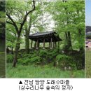 만우솔밭 이미지