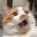 벽제칼국시 이미지