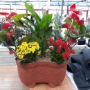 유현석치과의원 이미지