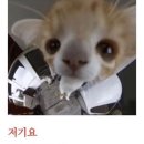 대영독서실 이미지