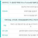 진피앤피