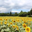 서도농장 이미지