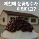 🔥 예천 눈꽃빙수 이렇게 나온다고? ‘심촌지도소’ 팥폭탄 빙수에 모두가 놀랐다