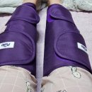 댕구살롱 이미지