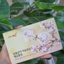 달성공단우체국 | 이율높은 정기예금 추천 _ 우체국 초록별사랑정기예금 가입후기 (최대 3.8%)