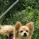 토골농장 이미지