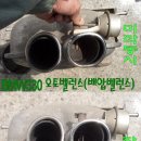 쿠스타코리아 이미지