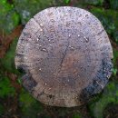 길손공동체 이미지