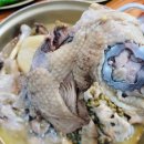 [쌩텀펜션 추천 제주도민 찐맛집] 토계정. 비주얼만 봐도 맛있을것 같은데, 실제 맛을 보면 또 먹으러...
