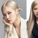 티파니앤 이미지