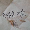 사랑을 파종했어요~^^ 이미지