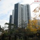 대세정형외과의원 이미지