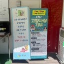 고향마트 | 순창 용궐산 자연휴양림 하늘길 후기｜올라갈 땐 지옥, 내려올 땐 천국