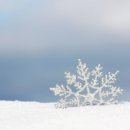 비보약국 이미지