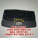 인체를 건강하고 편안하게 하는 소쿠리 | 필립스 키보드로 손목이 편안한 업무의 시작, 필립스 SPK6748 인체공학 무선 키보드 솔직 후기