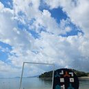 웅천친수공원 이미지