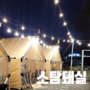 소탐돼실